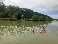 2019-08-07 14.01.16-0.jpg
